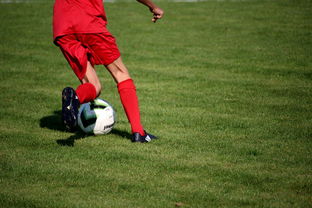 爱游戏官网app-国家队战术体系缺乏灵活应变能力,国家队战术体系缺乏灵活应变能力的原因 第2张